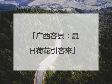 广西容县：夏日荷花引客来