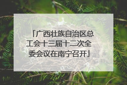 广西壮族自治区总工会十三届十二次全委会议在南宁召开