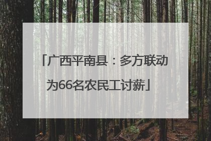 广西平南县：多方联动为66名农民工讨薪