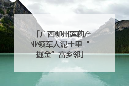 广西柳州莲藕产业领军人泥土里“掘金”富乡邻