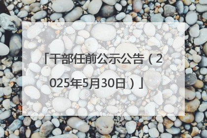 干部任前公示公告（2025年5月30日）