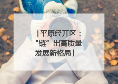 平原经开区：“链”出高质量发展新格局