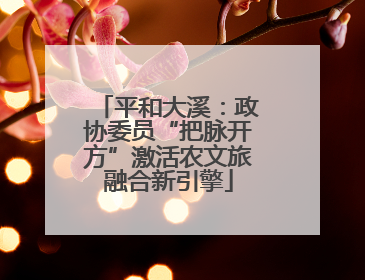 平和大溪：政协委员“把脉开方”激活农文旅融合新引擎