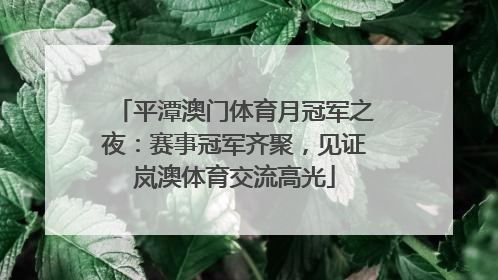 平潭澳门体育月冠军之夜：赛事冠军齐聚，见证岚澳体育交流高光