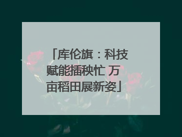 库伦旗：科技赋能插秧忙 万亩稻田展新姿