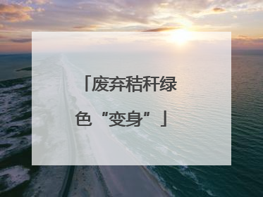 废弃秸秆绿色“变身”