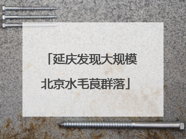 延庆发现大规模北京水毛茛群落
