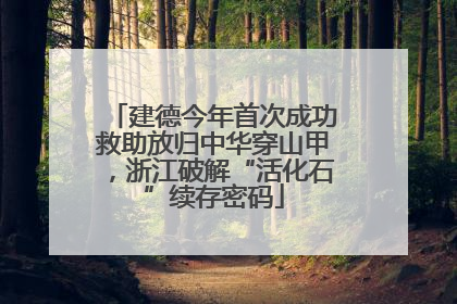 建德今年首次成功救助放归中华穿山甲，浙江破解“活化石”续存密码