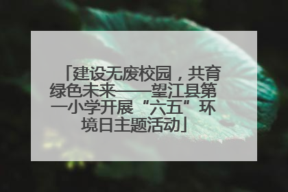 建设无废校园，共育绿色未来——望江县第一小学开展“六五”环境日主题活动