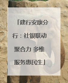 建行安康分行：社银联动聚合力 多维服务惠民生
