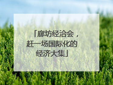 廊坊经洽会，赶一场国际化的经济大集