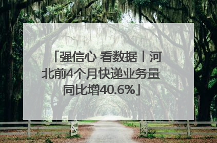 强信心 看数据丨河北前4个月快递业务量同比增40.6%