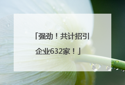 强劲！共计招引企业632家！