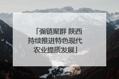 强链聚群 陕西持续推进特色现代农业提质发展