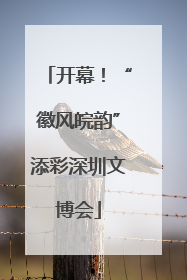 开幕！“徽风皖韵”添彩深圳文博会
