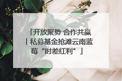 开放聚势 合作共赢丨私募基金抢滩云南蓝莓“时差红利”