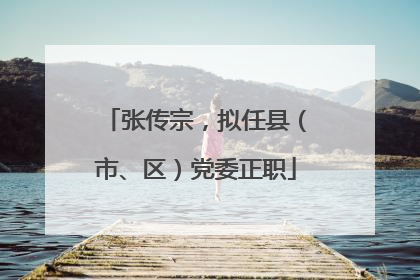 张传宗，拟任县（市、区）党委正职