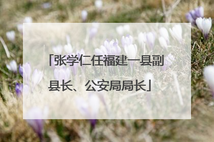 张学仁任福建一县副县长、公安局局长