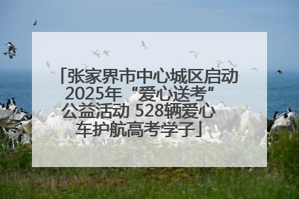 张家界市中心城区启动2025年“爱心送考”公益活动 528辆爱心车护航高考学子