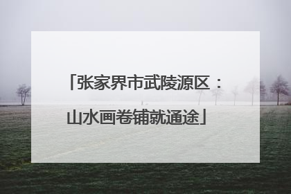 张家界市武陵源区：山水画卷铺就通途