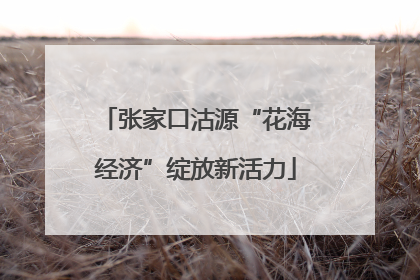 张家口沽源“花海经济”绽放新活力