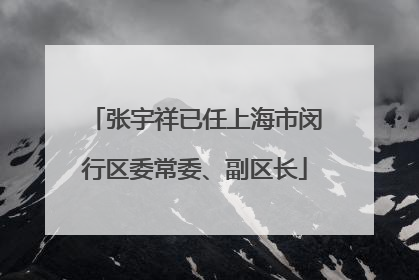 张宇祥已任上海市闵行区委常委、副区长