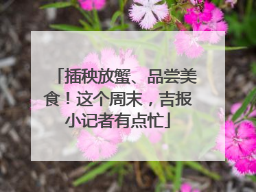 插秧放蟹、品尝美食！这个周末，吉报小记者有点忙