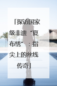 探访国家级非遗“夏布绣”：指尖上的丝线传奇