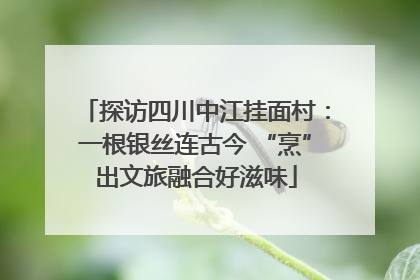 探访四川中江挂面村：一根银丝连古今 “烹”出文旅融合好滋味