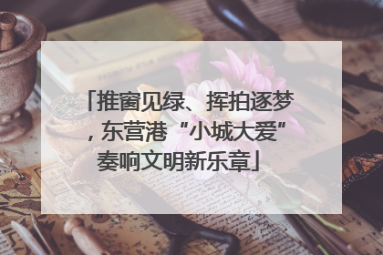 推窗见绿、挥拍逐梦，东营港“小城大爱”奏响文明新乐章