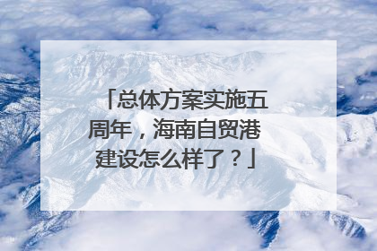 总体方案实施五周年，海南自贸港建设怎么样了？