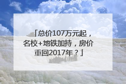 总价107万元起，名校+地铁加持，房价重回2017年？