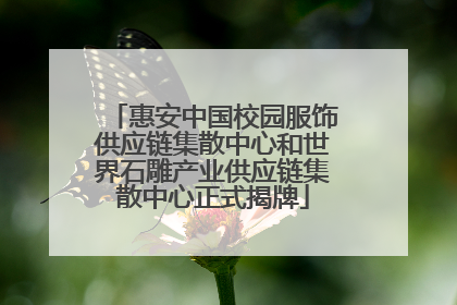 惠安中国校园服饰供应链集散中心和世界石雕产业供应链集散中心正式揭牌