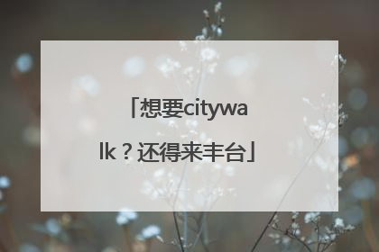 想要citywalk？还得来丰台
