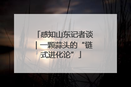 感知山东记者谈｜一颗蒜头的“链式进化论”