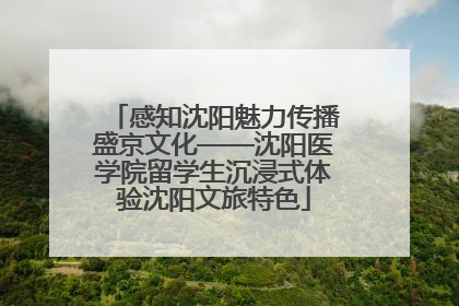 感知沈阳魅力传播盛京文化——沈阳医学院留学生沉浸式体验沈阳文旅特色