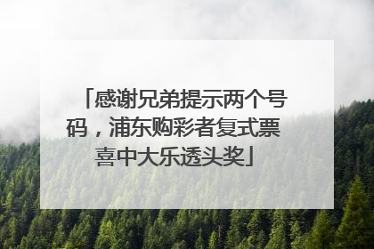 感谢兄弟提示两个号码，浦东购彩者复式票喜中大乐透头奖