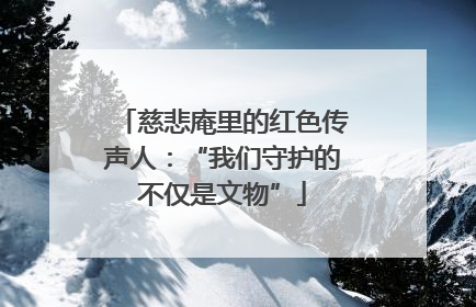 慈悲庵里的红色传声人：“我们守护的不仅是文物”