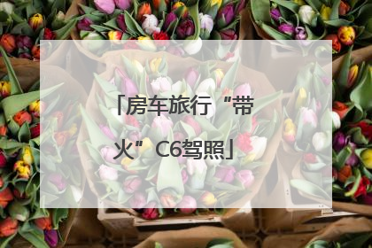房车旅行“带火”C6驾照