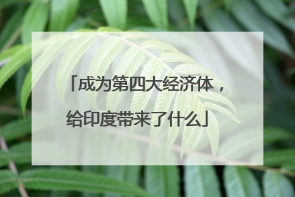 成为第四大经济体，给印度带来了什么