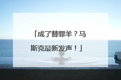 成了替罪羊？马斯克最新发声！