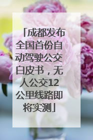 成都发布全国首份自动驾驶公交白皮书，无人公交12公里线路即将实测