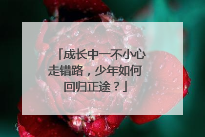 成长中一不小心走错路，少年如何回归正途？