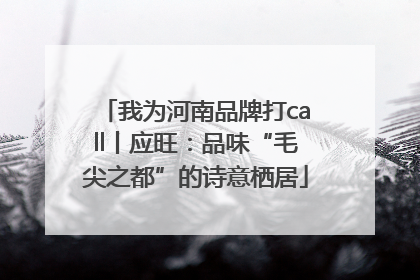 我为河南品牌打call丨应旺：品味“毛尖之都”的诗意栖居
