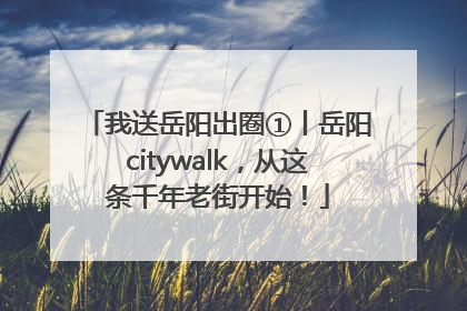 我送岳阳出圈①丨岳阳citywalk，从这条千年老街开始！