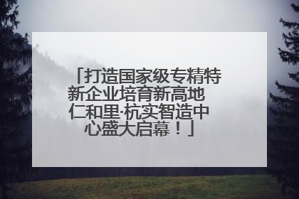 打造国家级专精特新企业培育新高地 仁和里·杭实智造中心盛大启幕！
