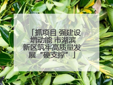抓项目 强建设 增动能 市湖滨新区筑牢高质量发展“硬支撑”