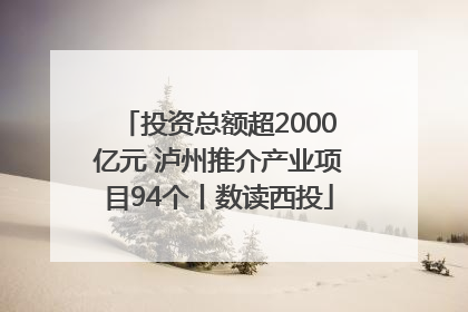投资总额超2000亿元 泸州推介产业项目94个丨数读西投