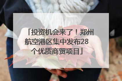 投资机会来了！郑州航空港区集中发布28个优质商贸项目