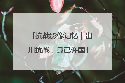 抗战影像记忆｜出川抗战，身已许国
